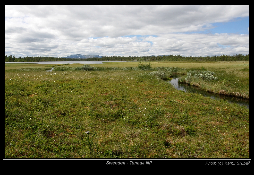 Sweden - Tannas NP - II.